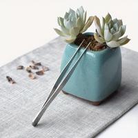 Uzun 30 cm Çelik Cımbız - Akvaryum Maşası